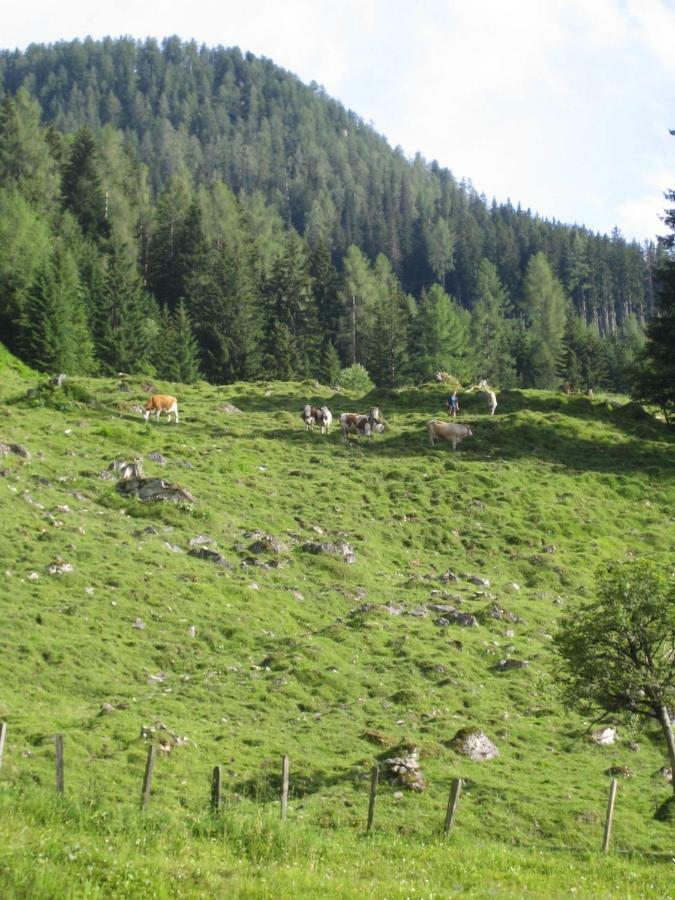 Pension Hedegghof 格罗萨尔 外观 照片
