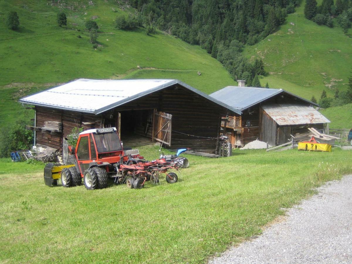 Pension Hedegghof 格罗萨尔 外观 照片